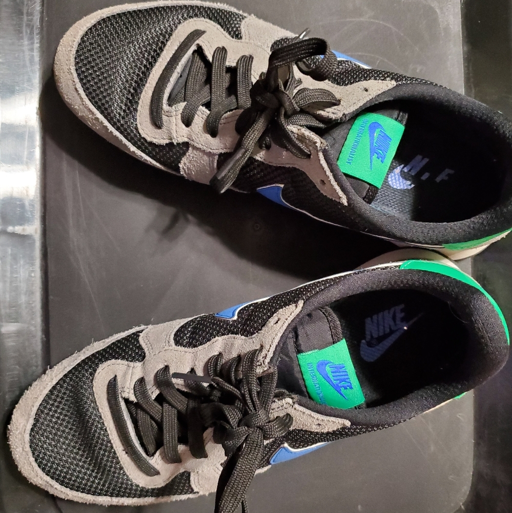 Nike Internationalist